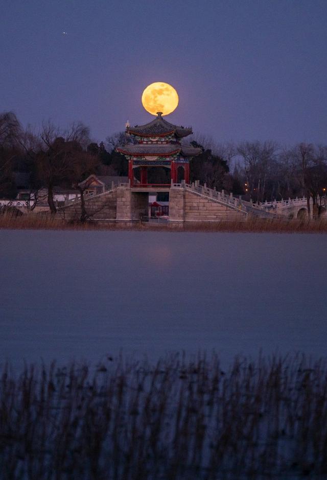 {随机关键词}