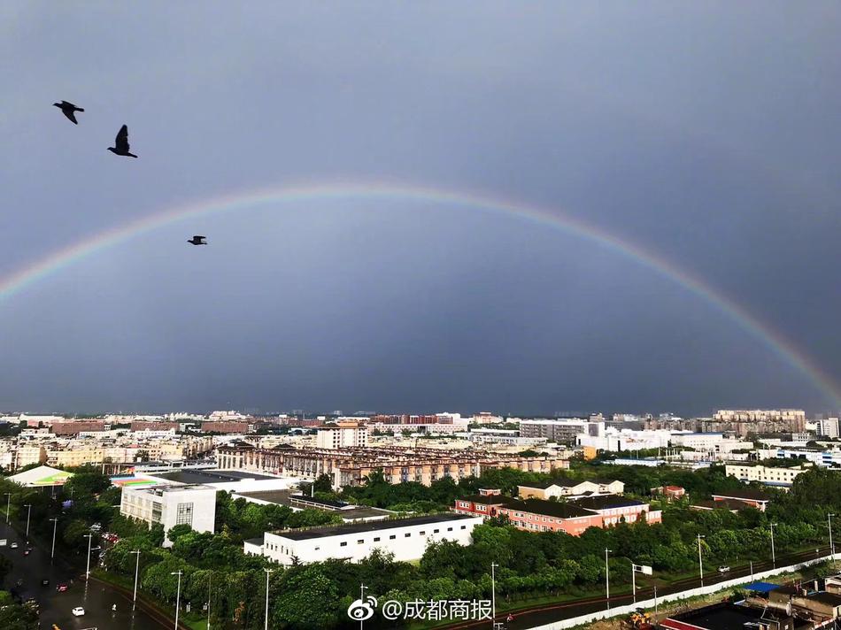 栖花绯汐世秘书高清无码
