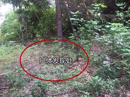 {随机关键词}
