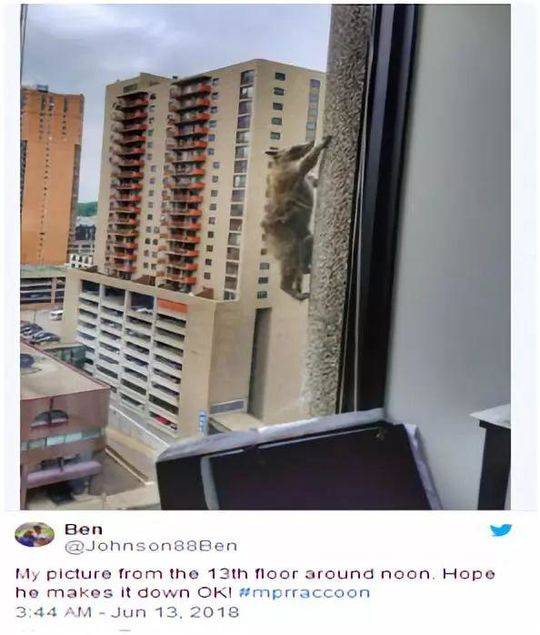 {随机关键词}