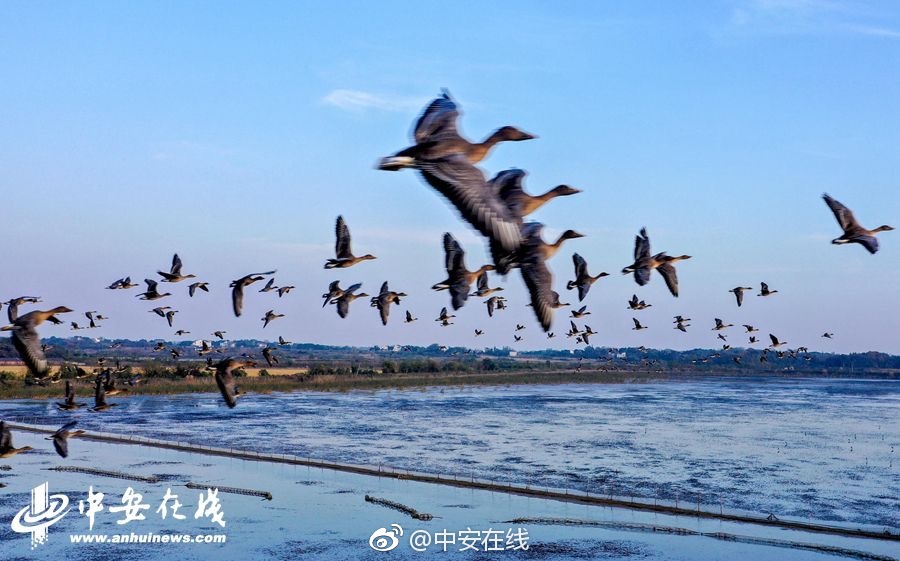 {随机关键词}