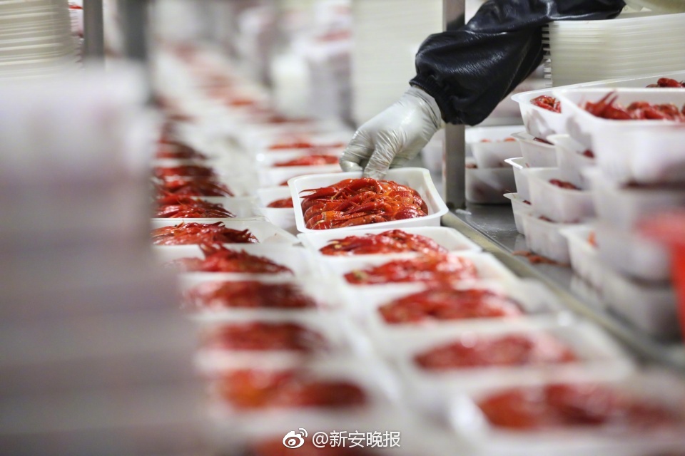 桃红色世界官方