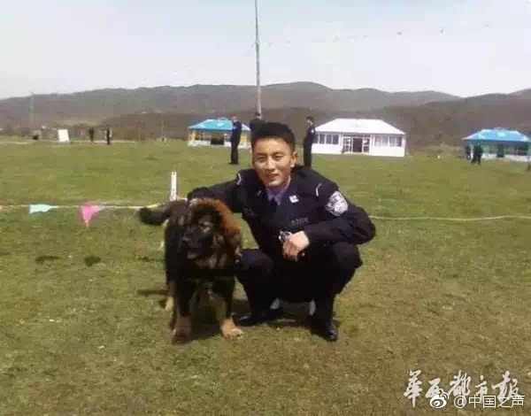{随机关键词}
