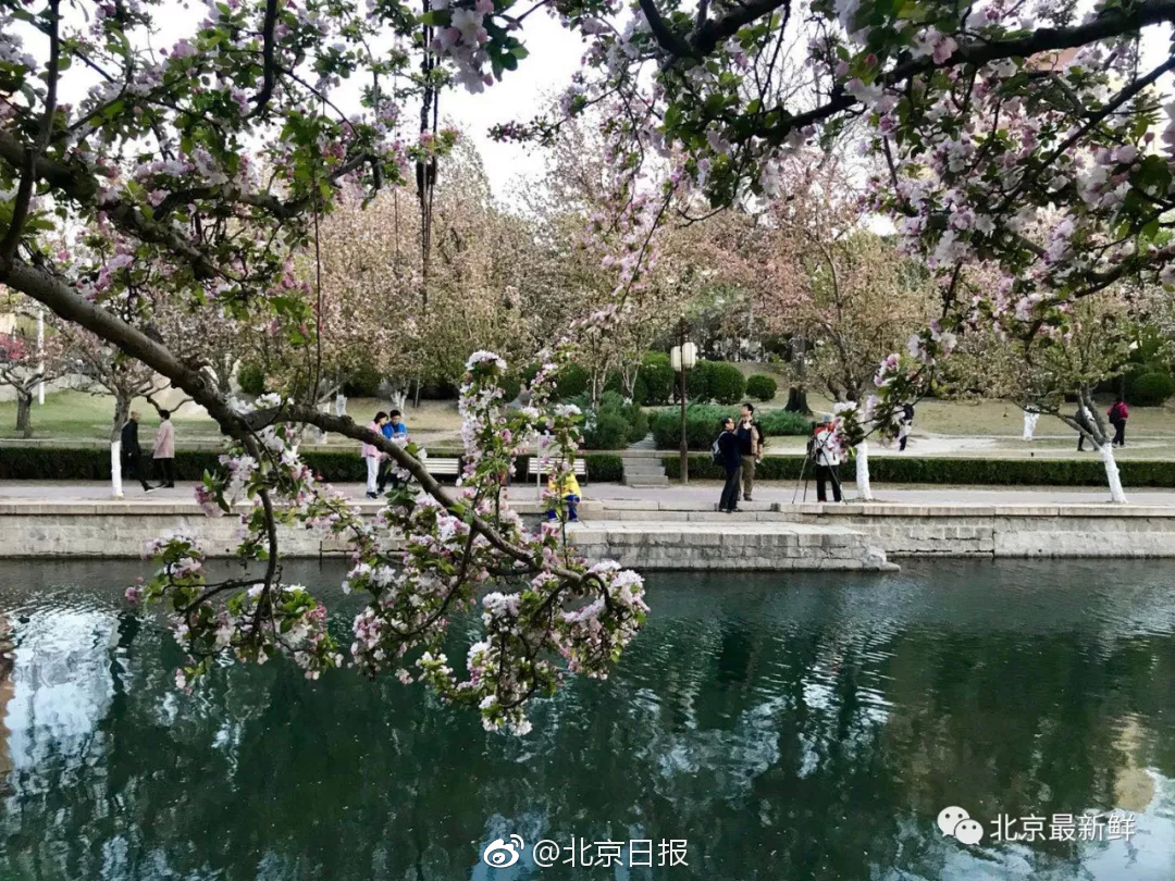 糖心破解版www