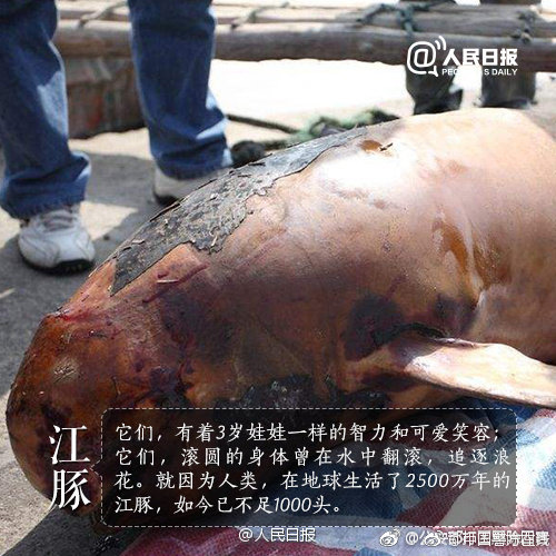{随机关键词}