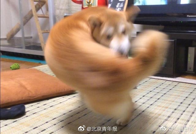{随机关键词}