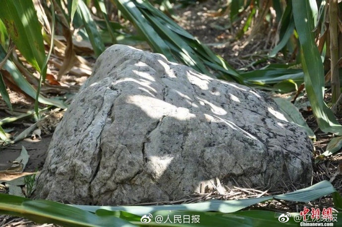 1000未成年人在线观看