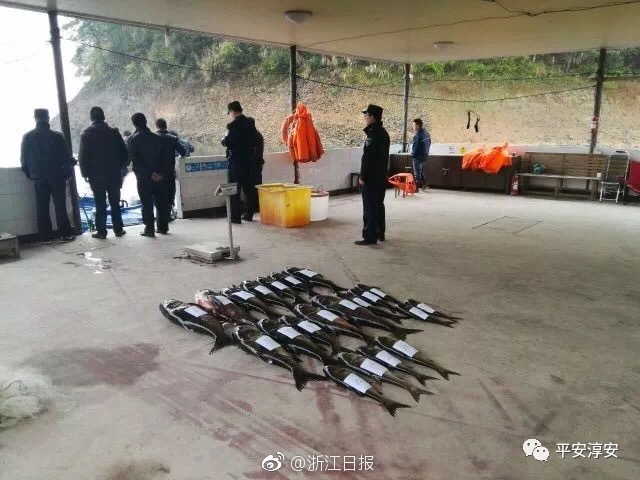 {随机关键词}