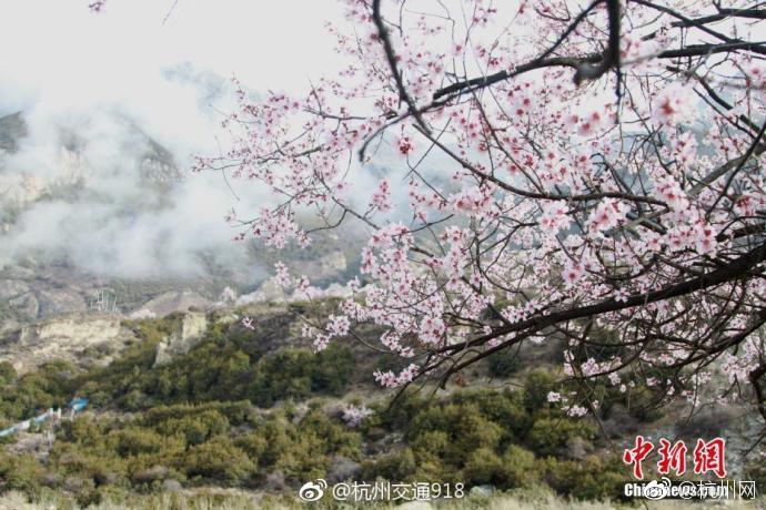 淫荡姐姐勾引