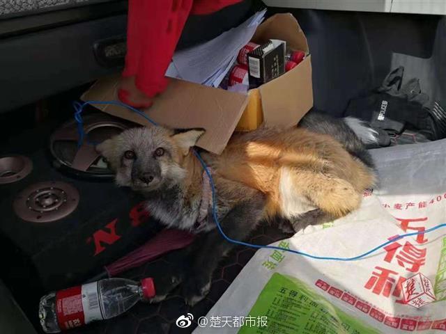 {随机关键词}