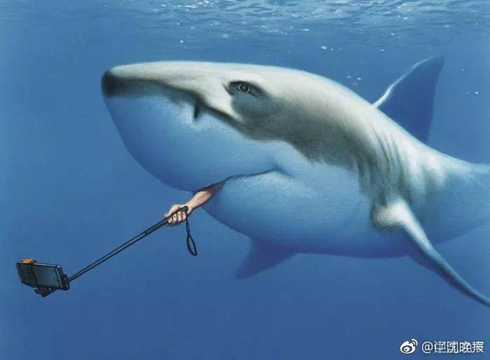 {随机关键词}