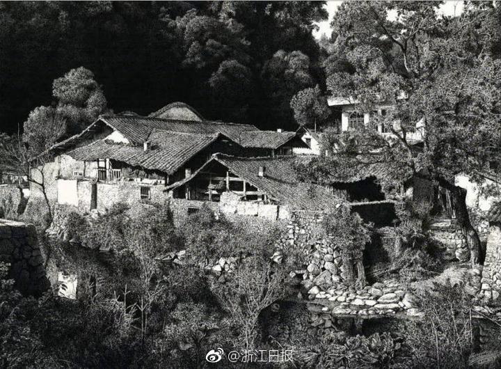 五月丁香啪啪总
