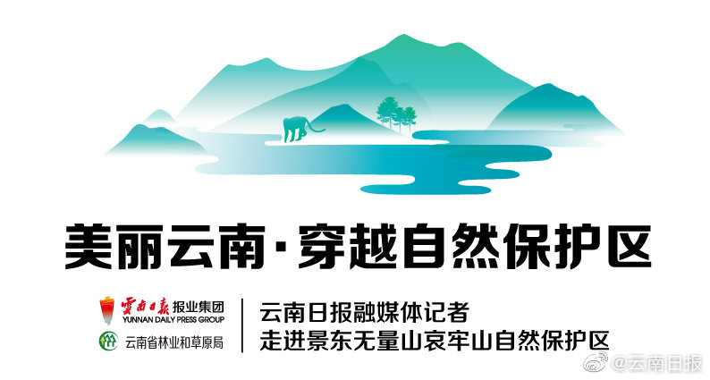 {随机关键词}