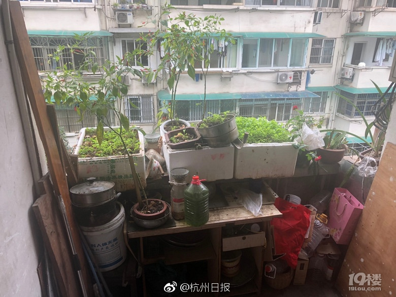 lexiluna欧美在线播放
