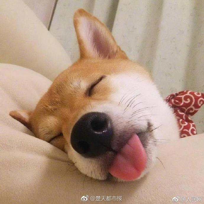 {随机关键词}