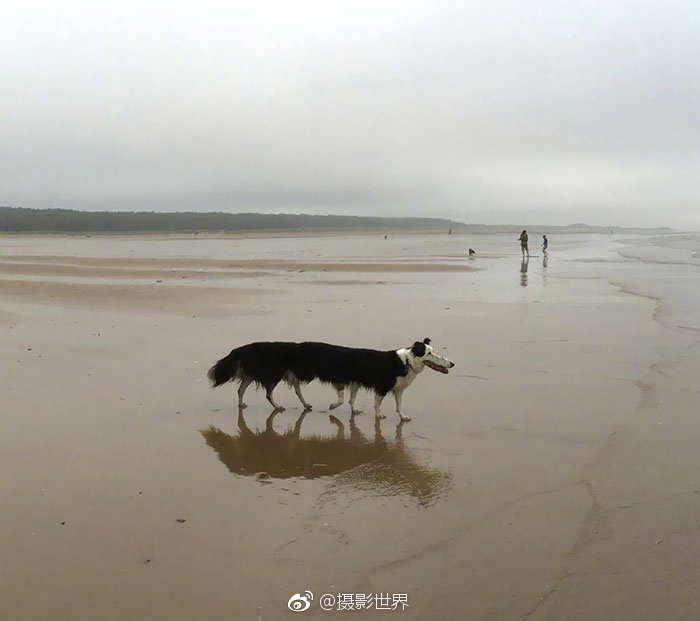 {随机关键词}