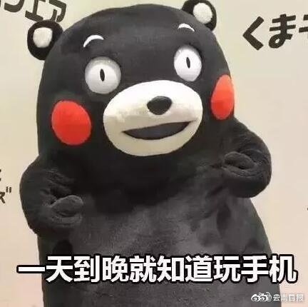 {随机关键词}