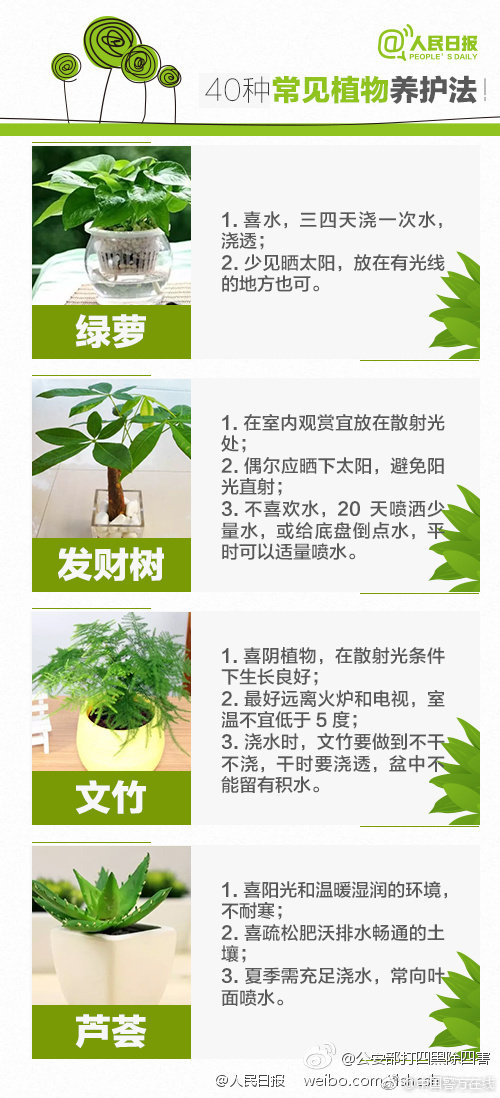 {随机关键词}
