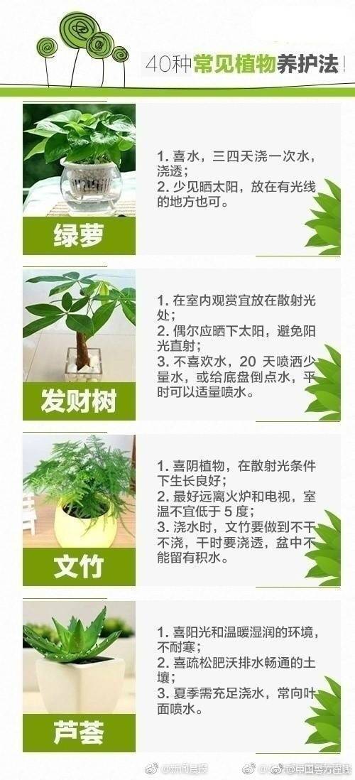 {随机关键词}