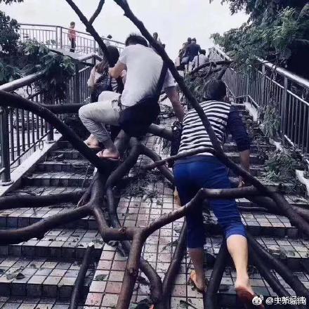 {随机关键词}