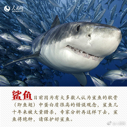 {随机关键词}