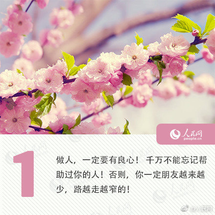 {随机关键词}