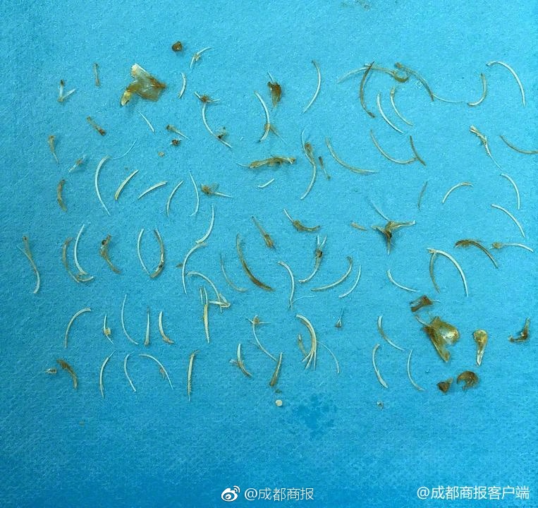 {随机关键词}