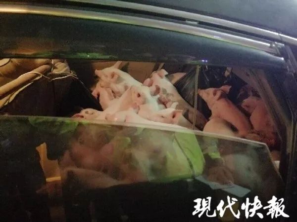 两个女人互相缠在一起小说