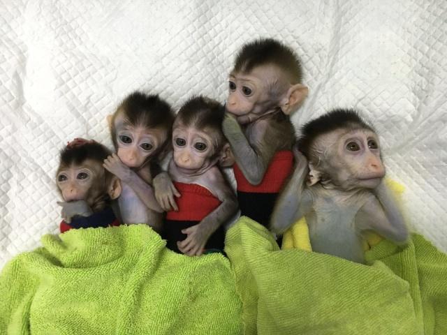 {随机关键词}