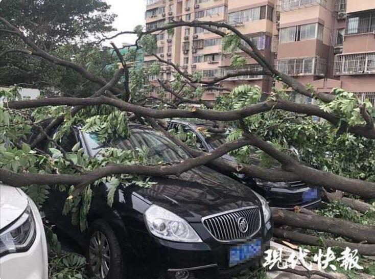 网红啵奇塔被干
