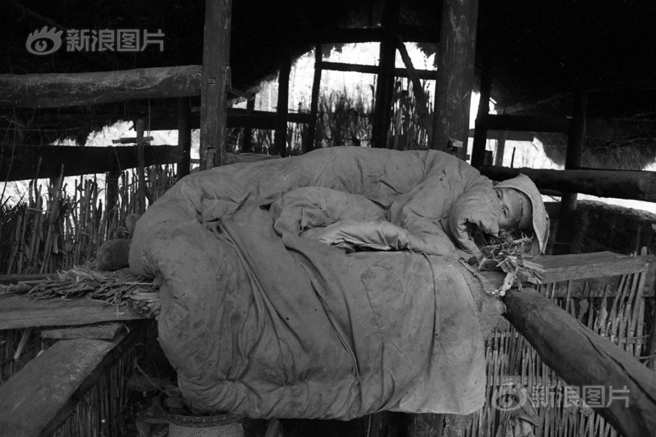 {随机关键词}