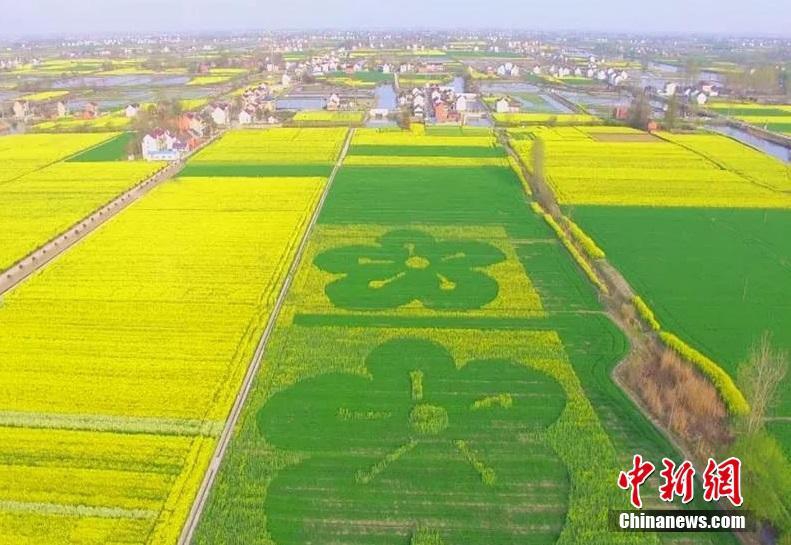 {随机关键词}