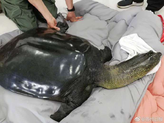 {随机关键词}