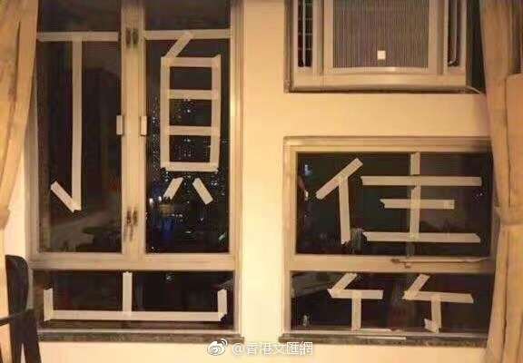 小猪罗志祥代言视频app