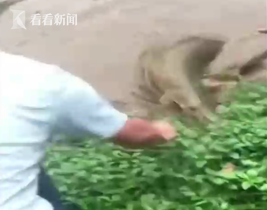{随机关键词}