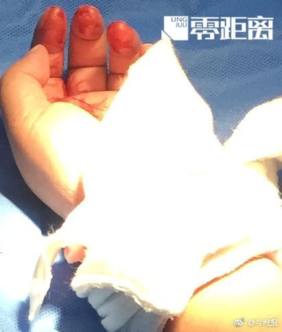 {随机关键词}