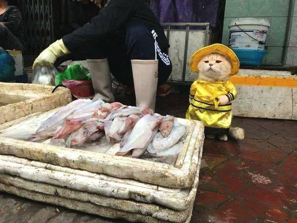 {随机关键词}