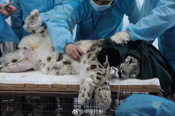 车牌号gif出处图