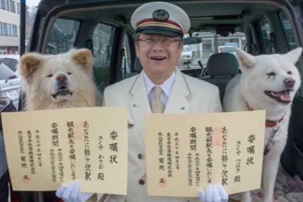 {随机关键词}