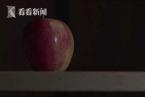 {随机关键词}