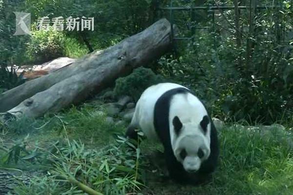 {随机关键词}