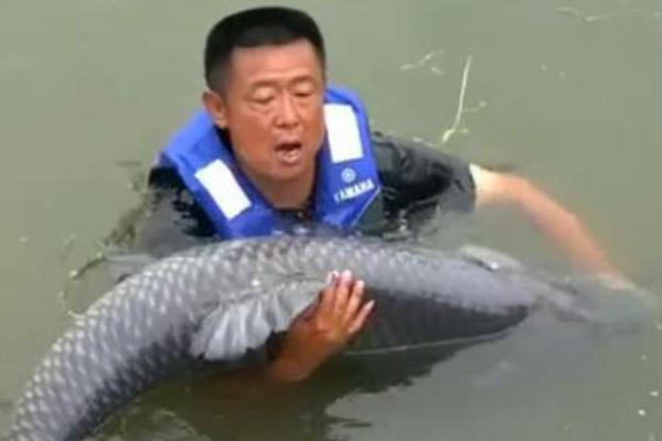 {随机关键词}