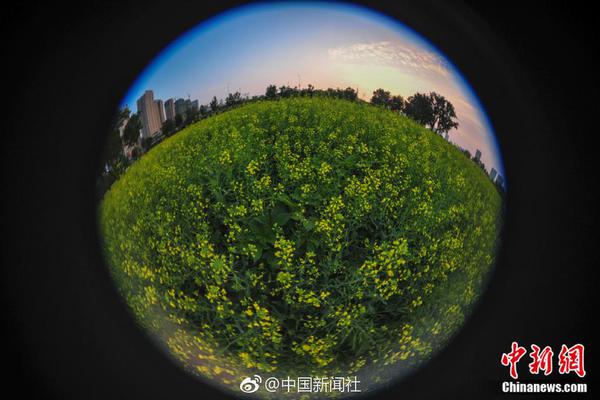 {随机关键词}