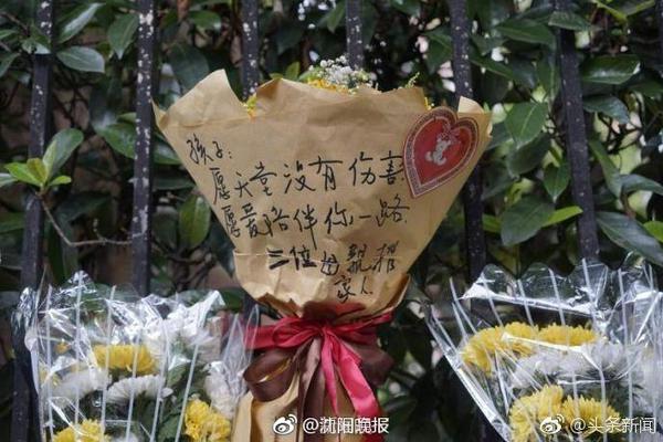 国内外成人自拍视频