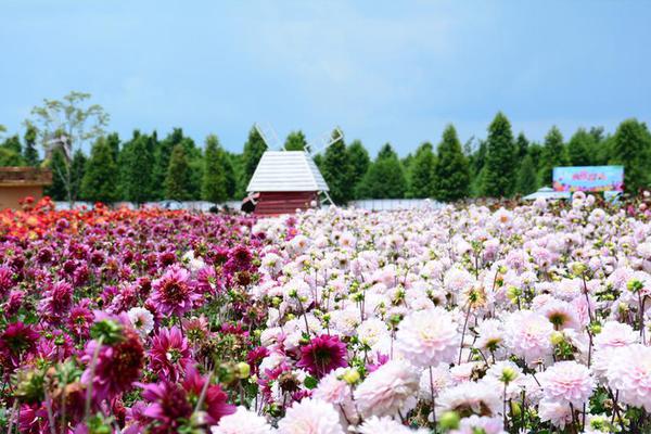 {随机关键词}
