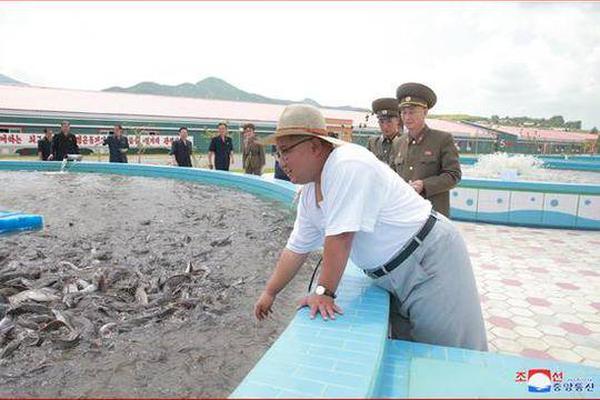 {随机关键词}