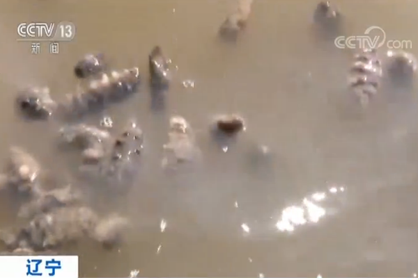 零零后掰开小逼让你操