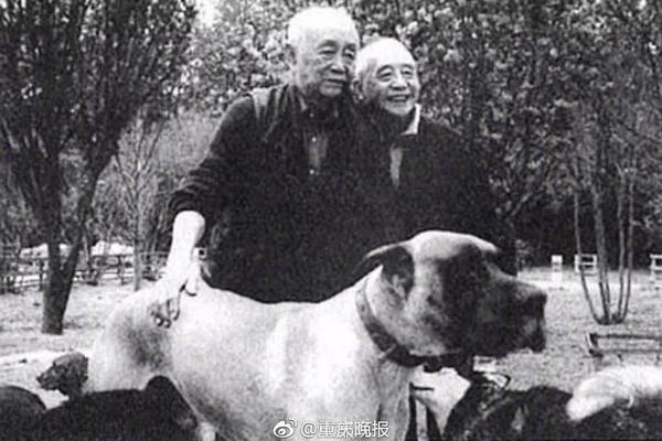 {随机关键词}