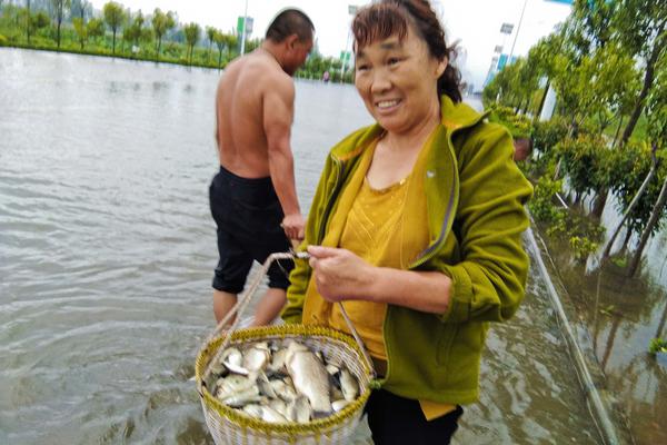 自由汇编x额定场景参数设置