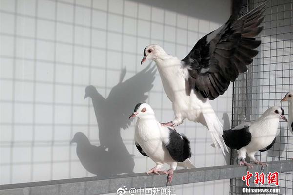 日本一区二区三区四区五区六区七区